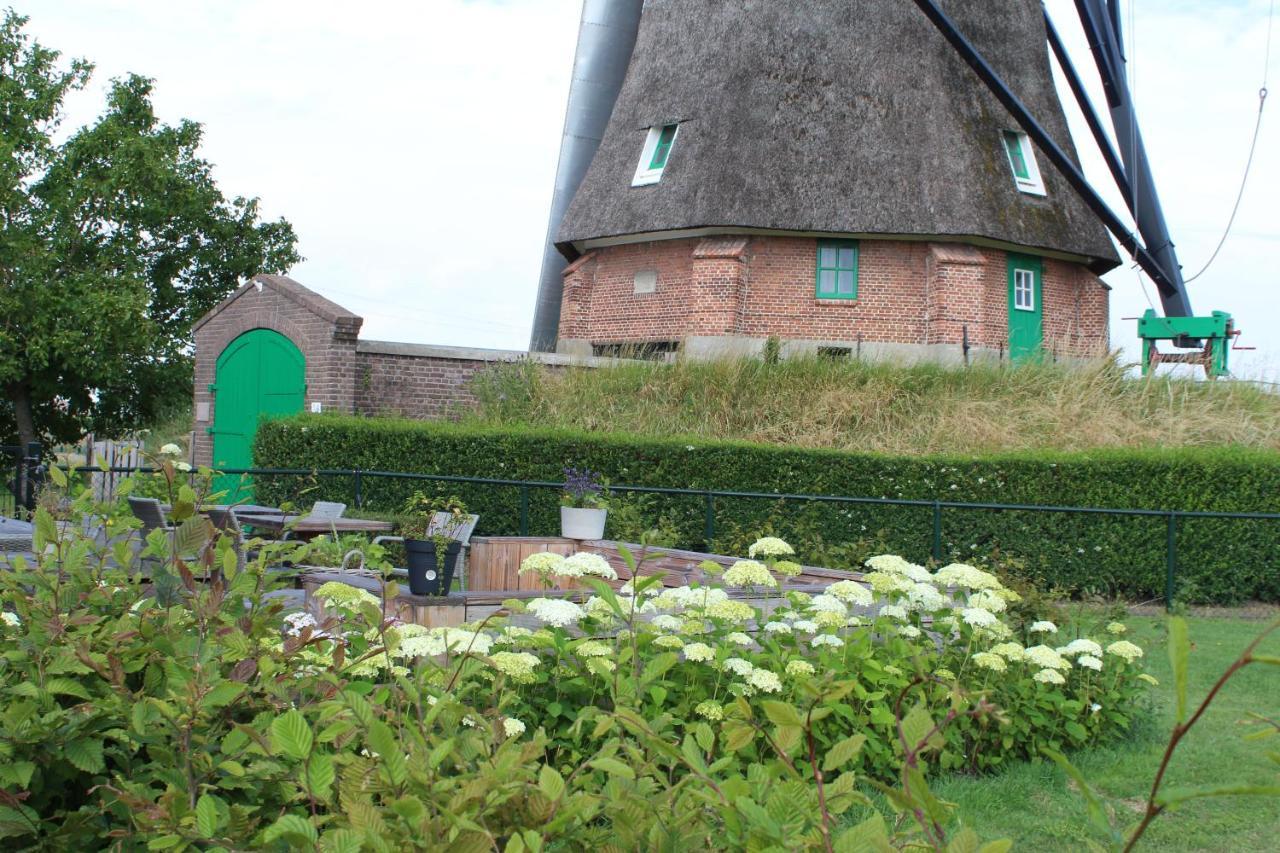Bij Molen De Blazekop, Rustig En Landelijk Ovezande Exteriér fotografie