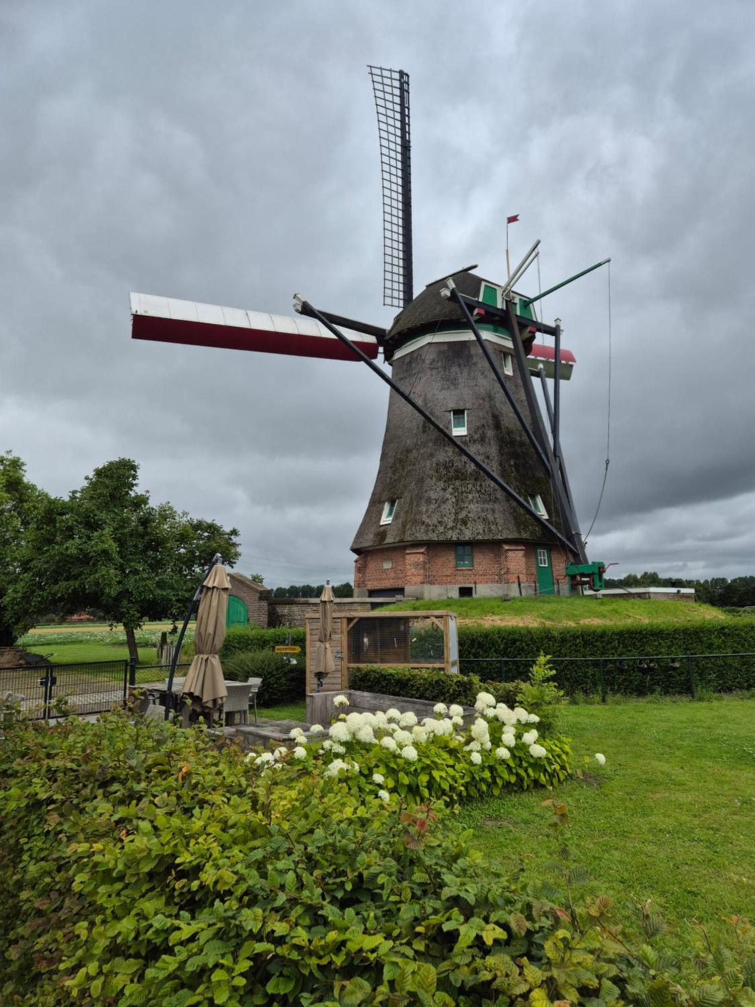 Bij Molen De Blazekop, Rustig En Landelijk Ovezande Exteriér fotografie